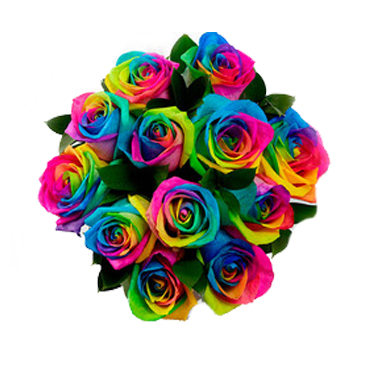 Ramo con 12 Rosas Arcoris