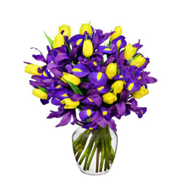 Florero de Iris y 10 Tulipanes Amarillos